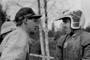 �hlins e Carlqvist