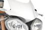 2011 speed triple hp