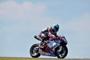 274 T03 Checa action