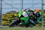 325 T03 Sykes action