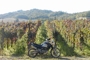 KAWASAKI KLE 500