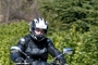 SUZUKI Gladius 650