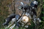 Moto Guzzi Breva 850