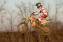 COMPARATIVA 450 CROSS 2009