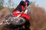 HONDA Gamma 4 tempi 2007