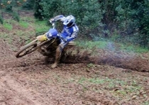TE 250 per tutti, WR 250&hellip;anche!