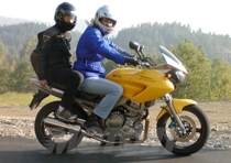 Una compagna di viaggio perfetta