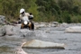 HONDA Transalp XL 700V