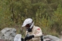 HONDA Transalp XL 700V