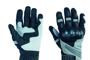 Adventure Glove