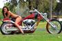 alex bigdog 04 570