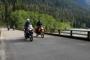 AltRider Rainforest 8 (1)