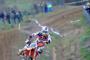Antonio Cairoli