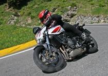 apert hornet