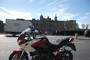 Armeria