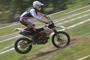 Beta RR 2011 din 03