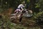 Beta RR 2011 din 06