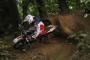 Beta RR 2011 din 07