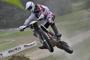 Beta RR 2011 din 09