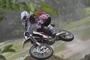 Beta RR 2011 din 10
