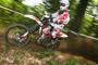 Beta RR 2011 din 11
