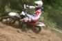 Beta RR 2011 din 12