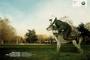BMW Dog Ad Italy