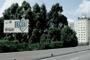 BMW Tree Ad Brazil