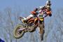 Cairoli