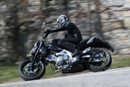 Gladius vince il 