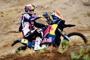 Cyril Despres 2012  (32)