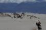 Dakar 2011, Stage 10 (11)