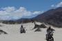 Dakar 2011, Stage 10 (13)