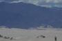 Dakar 2011, Stage 10 (9)