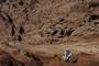 Dakar 2011, Stage 11 (16)