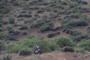 Dakar 2011 (17)