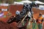 David Philippaerts GP