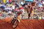 Desalle2BRA