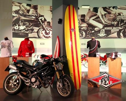 Ducati Bear