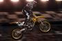 Dungey