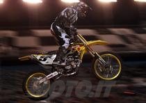 Dungey