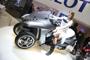 eicma 294