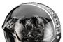 exo100 skull blackwhite 5
