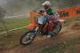 gallino major 2012