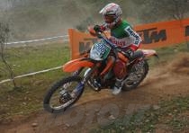 gallino major 2012