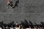 Gallery MotoGP Mugello 2012 (15)