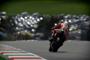 Gallery MotoGP Mugello 2012 (3)