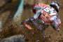 Gallery MX, GP di Russia 2012 (67)