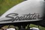 Harley Davidson Forty Eight din 14