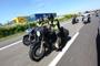 HOG Harley Davidson 2010 Pescara 04